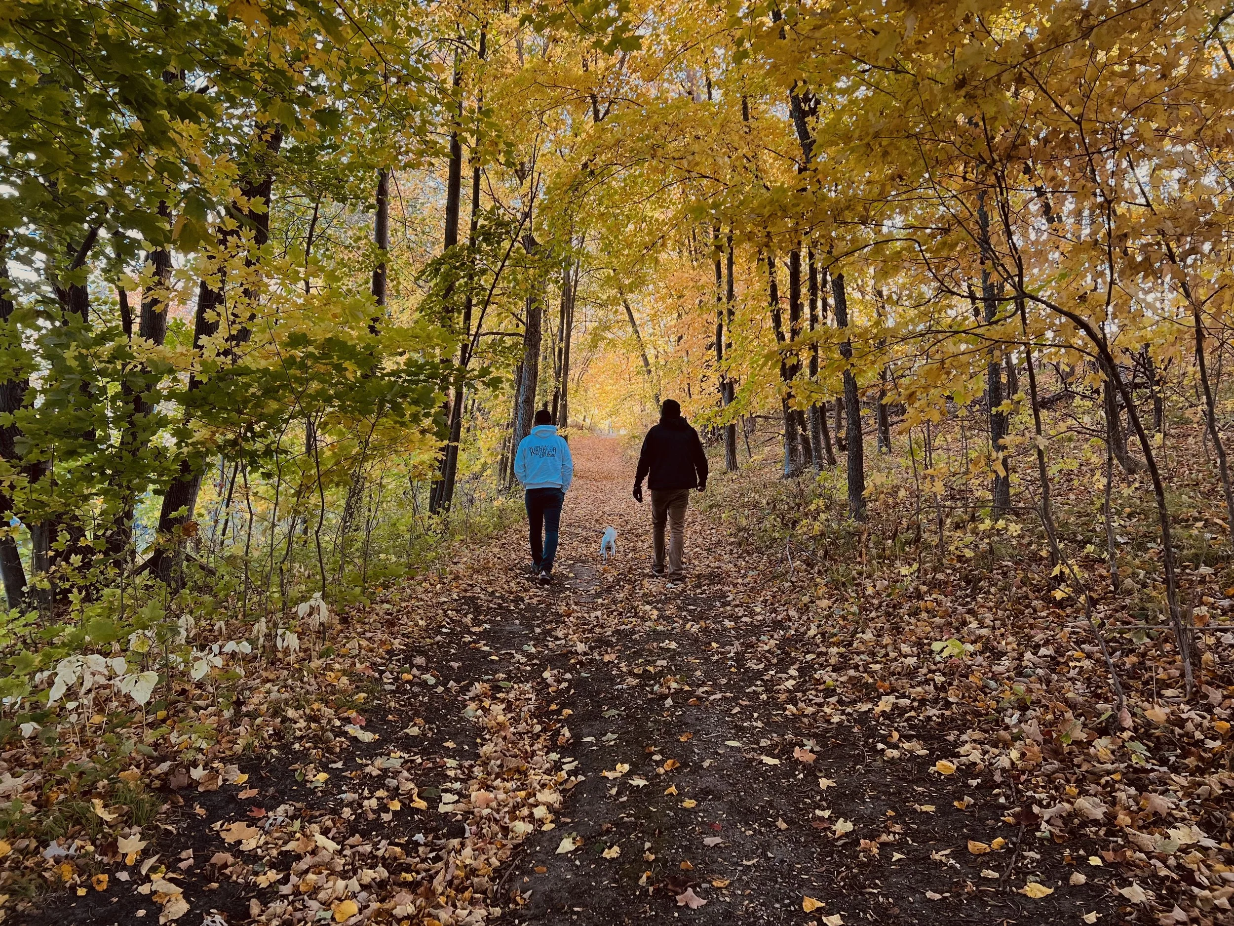 Two people and a dog walking a leaf-covered trail through the woods